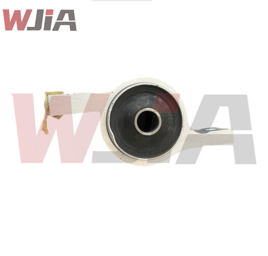 48075-30020 Trailing Arm Bushing For Lexus GS300 2005–2011